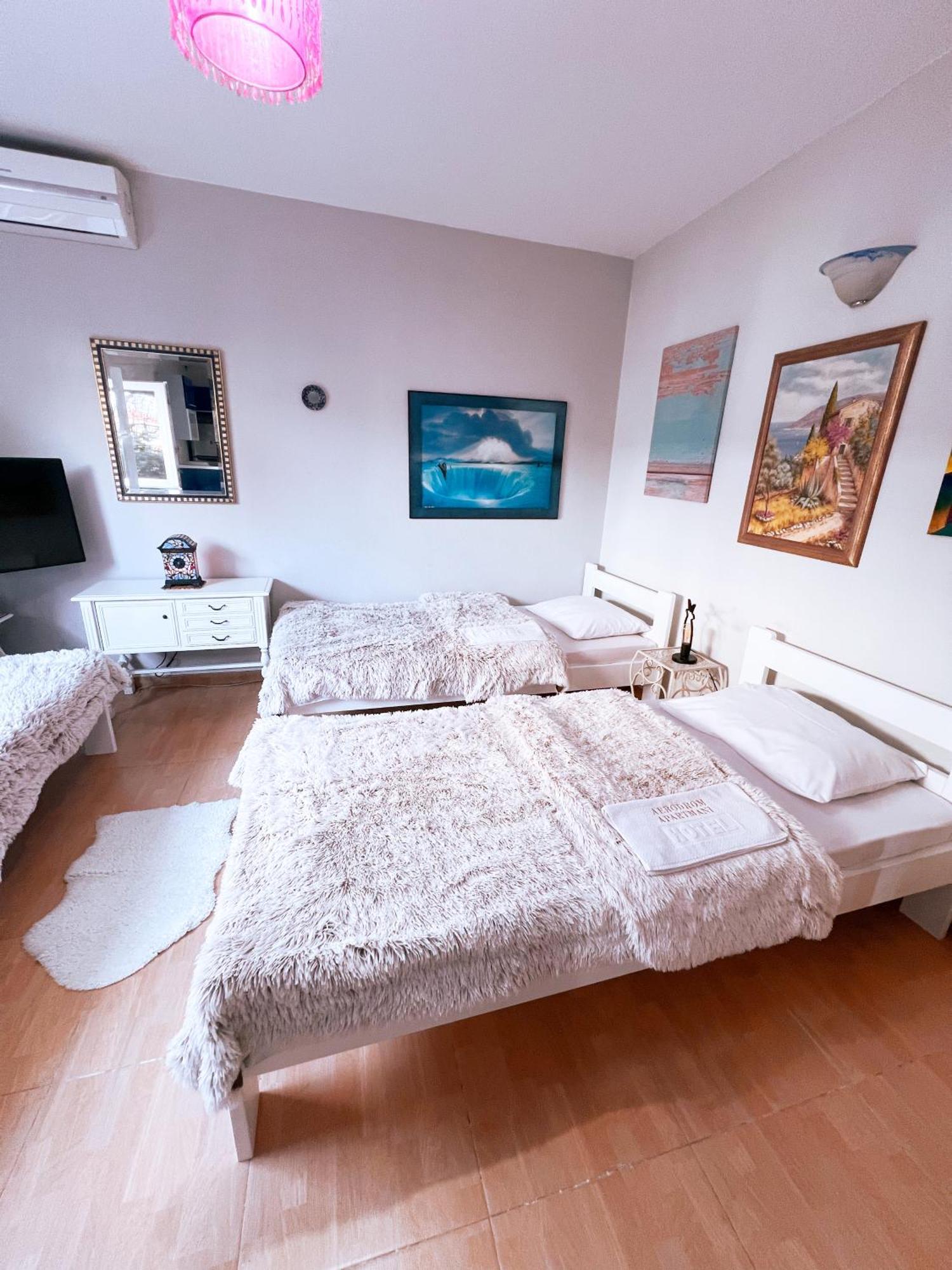 Apartments Aerodrom Podgorica Rum bild
