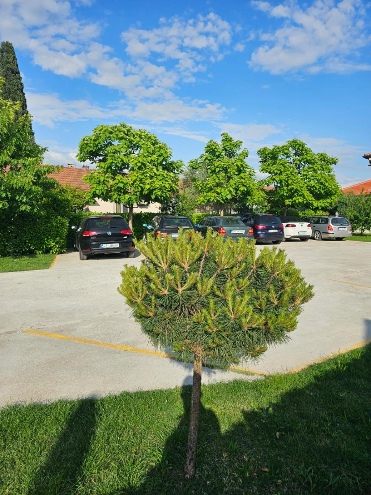 Apartments Aerodrom Podgorica Exteriör bild
